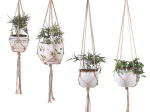 hanging plant basket